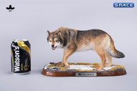 1/6 Scale Dire Wolf Version D