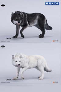 1/6 Scale Dire Wolf Version D