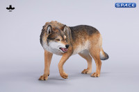 1/6 Scale Dire Wolf Version D