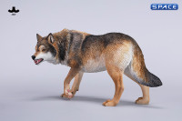 1/6 Scale Dire Wolf Version D