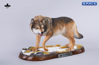 1/6 Scale Dire Wolf Version D