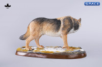 1/6 Scale Dire Wolf Version D