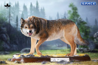 1/6 Scale Dire Wolf Version D