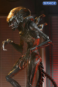 Ultimate Scorched Xenomorph (Alien: Romulus)