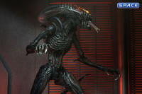 Ultimate Scorched Xenomorph (Alien: Romulus)