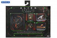 Ultimate Accessory Pack (Alien: Romulus)