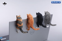 1/6 Scale Wall-Climbing Cat (red)