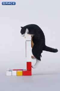 1/6 Scale Wall-Climbing Cat (black)