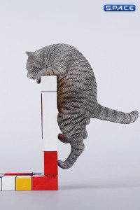 1/6 Scale Wall-Climbing Cat (grey)