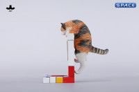 1/6 Scale Wall-Climbing Cat (red/grey)