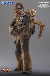 1/6 Scale Chewbacca with disassembled C-3PO Movie Masterpiece MMS766 (Star Wars)