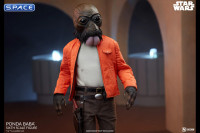 1/6 Scale Ponda Baba Scum & Villainy (Star Wars)