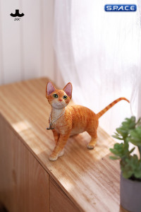 1/6 Scale Devon Rex Cat (red)