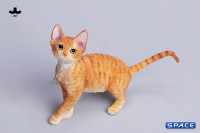 1/6 Scale Devon Rex Cat (red)