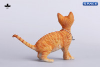 1/6 Scale Devon Rex Cat (red)