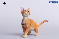 1/6 Scale Devon Rex Cat (red)