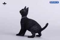 1/6 Scale Devon Rex Cat (black)