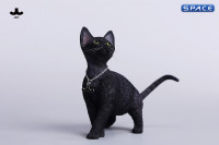 1/6 Scale Devon Rex Cat (black)