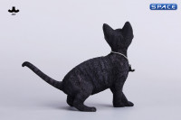 1/6 Scale Devon Rex Cat (black)