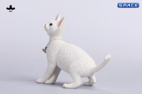 1/6 Scale Devon Rex Cat (white)