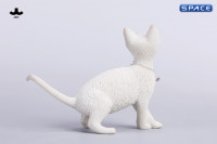 1/6 Scale Devon Rex Cat (white)