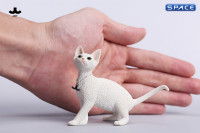 1/6 Scale Devon Rex Cat (white)