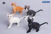 1/6 Scale Devon Rex Cat (black/white)