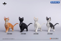 1/6 Scale Devon Rex Cat (black/white)