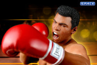 1/6 Scale Muhammad Ali - Double Pack