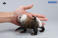 1/6 Scale Northern Pigtail Macaque