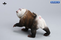 1/6 Scale Northern Pigtail Macaque