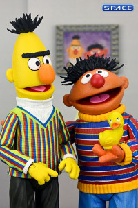 Ultimate Bert (Sesame Street)