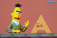 Ultimate Bert (Sesame Street)