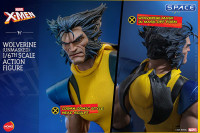 1/6 Scale Wolverine unmasked HS06 (Marvel)