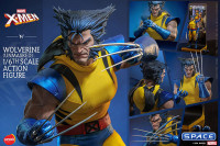 1/6 Scale Wolverine unmasked HS06 (Marvel)