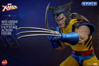 1/6 Scale Wolverine unmasked HS06 (Marvel)