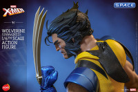 1/6 Scale Wolverine unmasked HS06 (Marvel)