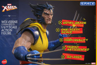 1/6 Scale Wolverine unmasked HS06 (Marvel)