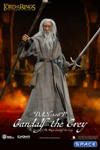 Gandalf the Grey Dynamic 8ction Heroes (Lord of the Rings)