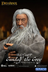 Gandalf the Grey Dynamic 8ction Heroes (Lord of the Rings)