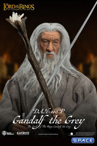 Gandalf the Grey Dynamic 8ction Heroes (Lord of the Rings)