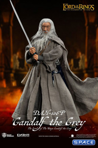 Gandalf the Grey Dynamic 8ction Heroes (Lord of the Rings)