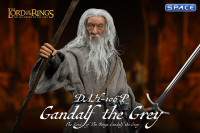 Gandalf the Grey Dynamic 8ction Heroes (Lord of the Rings)