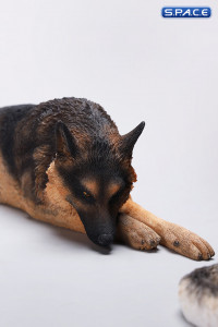 1/6 Scale lying German Shepherd (brown)