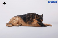 1/6 Scale lying German Shepherd (brown)