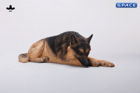 1/6 Scale lying German Shepherd (brown)