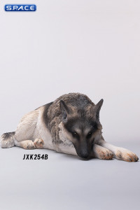 1/6 Scale lying German Shepherd (grey)