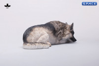 1/6 Scale lying German Shepherd (grey)