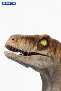 1:1 Male Raptor Life-Size Bust (The Lost World: Jurassic Park)