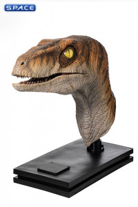 1:1 Male Raptor Life-Size Bust (The Lost World: Jurassic Park)